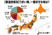 結局一番おいしい「うまい棒」ランキング