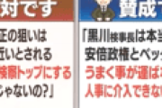 【スッキリ】安住アナ「検察庁法改正、ネット上の賛成・反対派の意見まとめてみた」