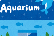 水族館バイトで『クビになった』衝撃的すぎる理由がこれwww