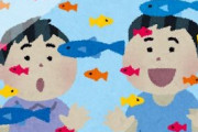 情操教育の一環で息子にメダカを買ってあげた結果 → 息子「とうさ～ん、45円が200円を追い掛け回してるよ～」