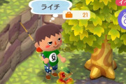 【ポケ森】レモンぶどうライチのこれ最近知った…ずっと疑問だったんだよねｗ