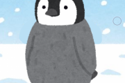 南極でペンギンの赤ちゃんから1日逃げ切ったら100万円