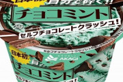 【絶対美味い】赤城乳業『日本初 自分で砕く！！チョコミント セルフチョコレートクラッシュ！』が11月15日から登場！！