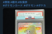 バイヤー「ポケモンカード２６００万円で買います！現金手渡しで！」突如消息が途絶える