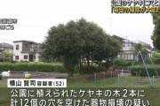 「木の葉が飛んできて掃除が面倒だった」 公園のケヤキに穴開け除草剤を注入、無職の男を逮捕
