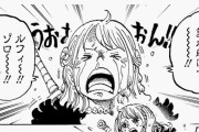 【悲報】今週のワンピース、ナミが酷すぎて読者ぶちギレｗｗｗｗｗ
