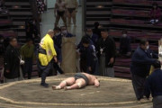 【悲報】頭から土俵に落ち動けなくなった力士、急性呼吸不全で死去