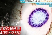 【悲報】致死率40～75%の｢ニパウイルス｣､インドで2人感染 アジア各国が水際対策強化に乗り出す