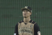 【開幕戦vs西武】日ハム西川好プレー！