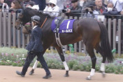 【競馬予想】[1]第72回 日経新春杯(GⅡ)/2025