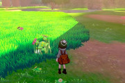 軽い気持ちでポケモン始めたけどとんでもない世界に足を踏み入れたかも知れない