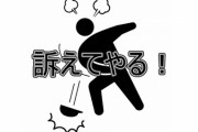 例のネトウヨゆっくり解説YouTuber「威力業務妨害だ！刑事・民事両方で動かざるを得ない！」