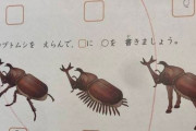 韓国人「日本の小学校で話題になったテスト問題がこちらです…」韓国の反応