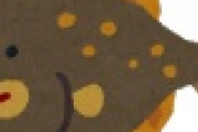【悲報】学校の教室で稚魚から育てたヒラメ１０匹の末路・・・・・・・・・・・・・