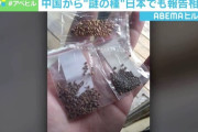 【悲報】アメリカ人、中国から送られてきた『謎の種』を植えてしまう…アメリカ農務当局も見たことが無い植物が育つ