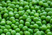 グリンピース大嫌い部