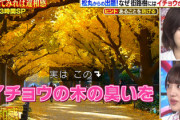 【日向坂46】みーぱんのクセが強い解答wwwww【クイズTHE違和感】
