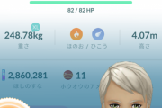 【ポケモンGO】これでめざパ飛行だったんだけど悪くないよね？