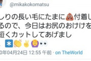 【誤爆か？】小松未可子さん、ケツ毛処理したとツイートってよｗｗｗｗ