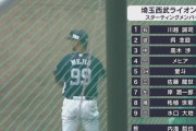 【試合実況】西武２軍スタメン 先発:内海（2020.7.21）