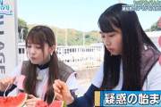 【日向坂46】かとし、根に持っていたwwwww