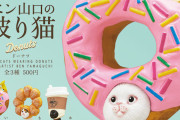 頭にドーナツを被った猫「ベン山口の被り猫 ドーナツ」がガチャフィギュアになって登場！