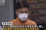 【悲報】危険を教えてあげただけの男、捕まる