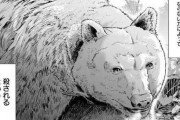 【悲報】格闘漫画、すぐクマと闘ってしまう