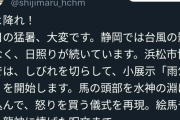 【悲報】浜松市博物館の雨乞い、効きすぎる