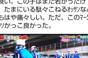 警察24時見た改造車乗り「改造車で捕まって駄々こねるとか痛々しい」→身内が捕まり「久々に怒ってる」