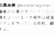 倉田真由美氏、医療従事者へ「仕事が忙しくてつらいなら辞めればいい」とツイートし波紋