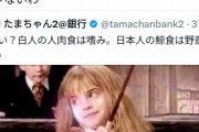 白人さん、日本人からエスプタイン文書をいじられてめちゃくちゃキレる