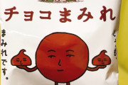 【画像】不二家のチョコまみれとかいうお菓子ｗｗｗｋｗｗｗｋｗｗｗｋｗｗｗｋｗｗｗｋｗｗｗ