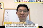 「カメムシの臭さでカメムシ自身が死ぬ」は本当！大量発生中の『カメムシ』は室内で見つけたら「ビンで捕獲」がオススメ　専門家が解説