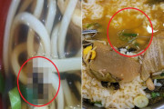 標準仕様だろ　～　【韓国】「うどんにコオロギ、クッパには紐」…高速道路サービスエリアの衛生状態に驚愕