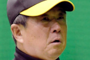 阪神２軍も競争が激アツ！？平田２軍監督「安芸スタートをチャンスに」
