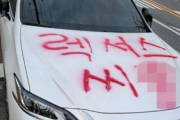 【韓国】違法駐車のレクサスに赤のスプレーで『レクサス××』･･･ネチズン「器物破損だ」vs「スカッとした」