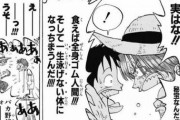 【ワンピース】なんで悪魔の実の能力者って海賊やってんの？？？？？？？？？？？？？？？