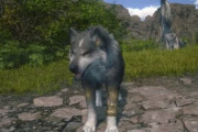 FF16、犬の動画を公開！