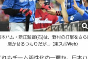 【朗報】野村佑希さん、捕手へコンバートへ【BIGBOSS】