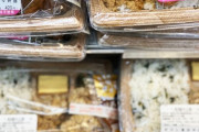 消費者庁「コンビニの売れ残り弁当を生活困窮者に無償で提供させる。少しぐらい期限切れても問題無い」