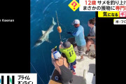 【驚愕】12歳少年、とんでもないものを釣り上げてしまうｗｗｗｗ怖すぎる…