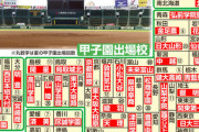 【悲報】朝日新聞さん、甲子園出場校一覧から広陵高校の選手記事を削除