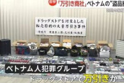 【社会】ドラッグストアでベトナム人の万引き相次ぐ、被害額平均10万円超で日本人の12倍…化粧品など母国に運搬か