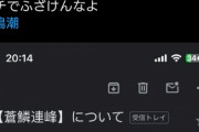 【悲報】人気海外ソシャゲ、問い合わせユーザーのメアドを晒して無事死亡ｗｗｗｗ