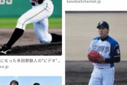多田野数人さん、ようやくGoogleから許される