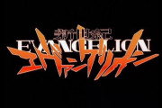 エヴァの人類補完計画って結局なんなの？