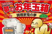 ヨドバシカメラの福袋｢夢のお年玉箱2025｣の中身まとめ