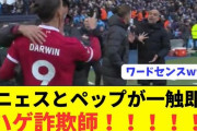 【悲報】ヌネェスさん、ペップグアルティオラに絶対言ってはいけないことを言ってしまうｗｗｗｗｗｗｗｗ