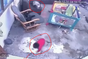 階段から落る寸前！！ 赤ちゃんを必死に止めた猫がスゴイ！ 海外の反応